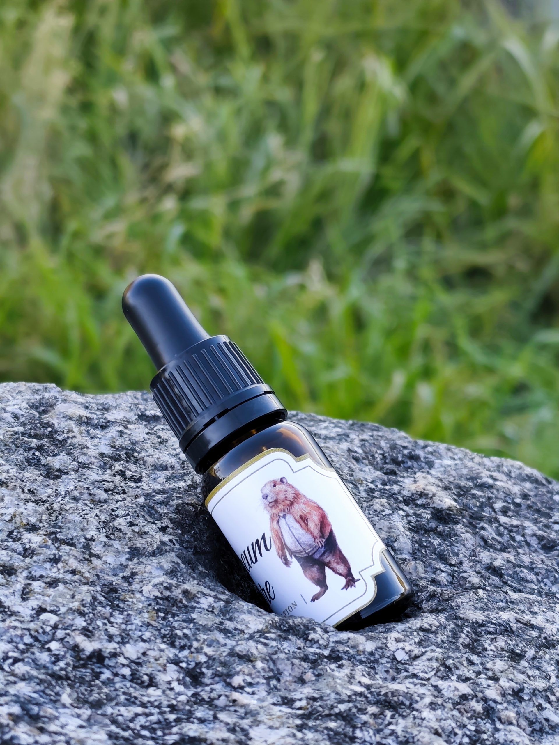 Bebrų sruoglių užpiltinė 20% (10ml) - Image 3