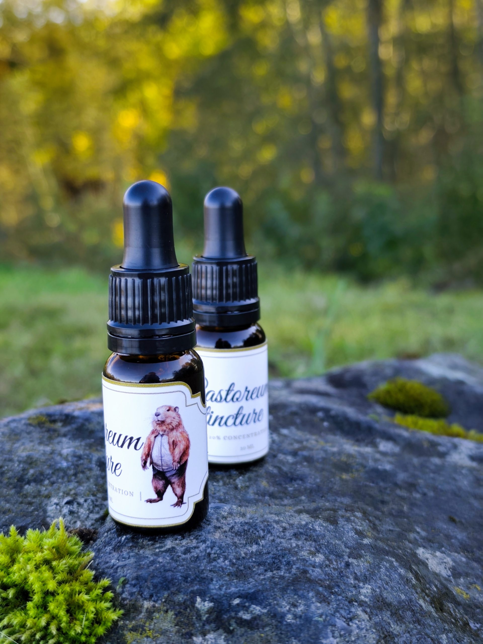 Bebrų sruoglių užpiltinė 20% (10ml) - Image 4