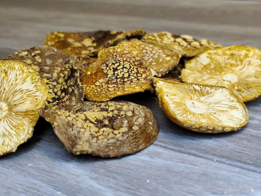 A klasės Amanita regalis kepurėlės (tiesios ir nesulūžusios) 50gr.