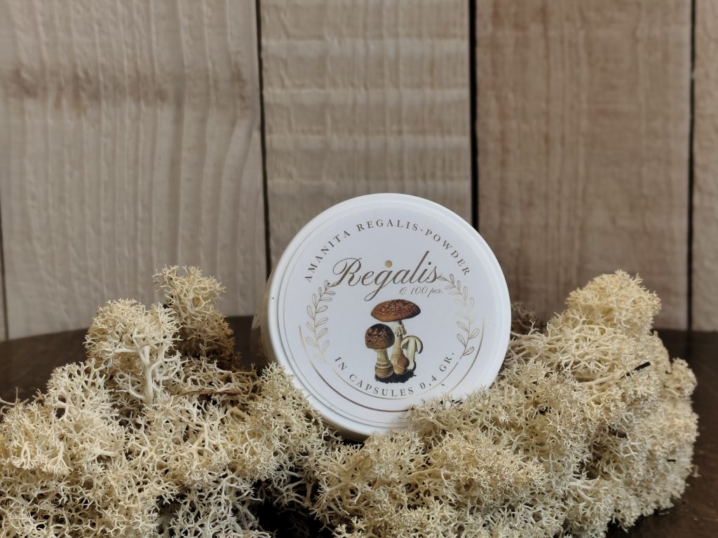 Amanita regalis kapsulės (0,4 g)