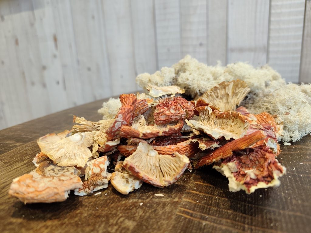 B klasės Amanita muscaria kepurėlės (sulūžusios)