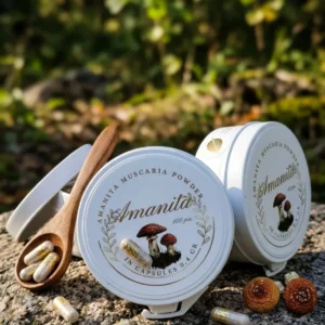 Amanita Muscaria Capsules – Wild Baltic Broken Caps
