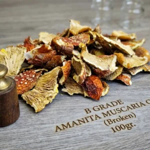 B GRADE AMANITA MUSCARIA CAPS (Broken) 100g - natural raw material for cured drinks from Lithuania and Latvia