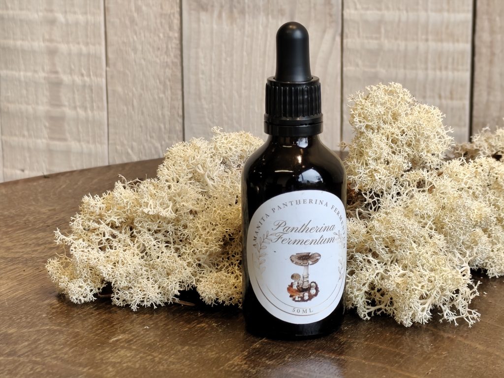 Amanita pantherina tinktūra – 50 ml