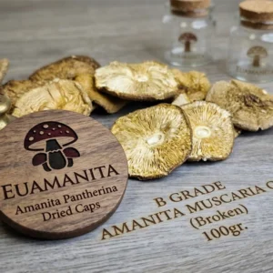 Premium Dried Amanita Pantherina Caps – 30g | Wild Baltic