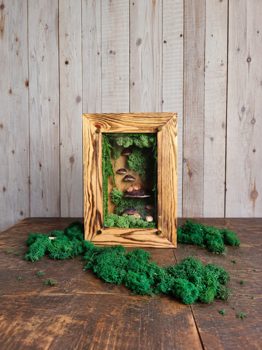 Forest Depths — moss wall art with LED light, 25 × 37 cm
