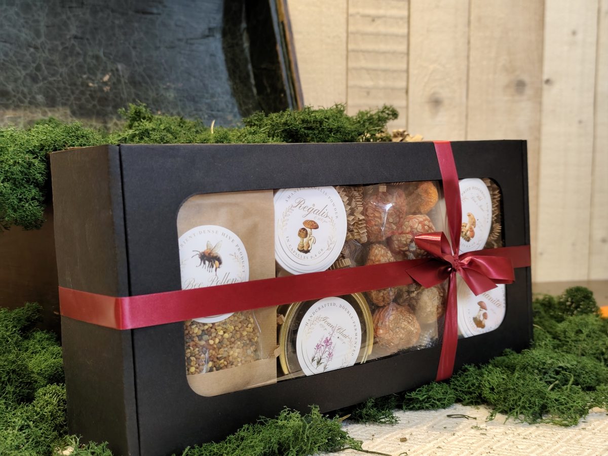 Gift set No. 4 — forest collection