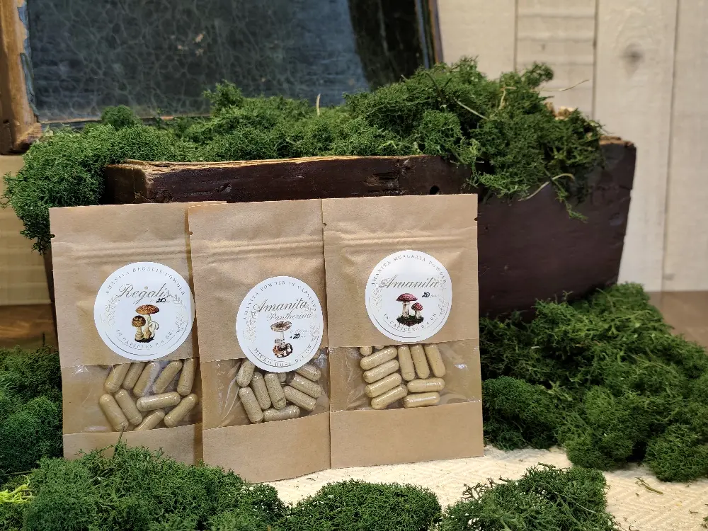 Amanita capsule trial set — 3 × 20 pcs